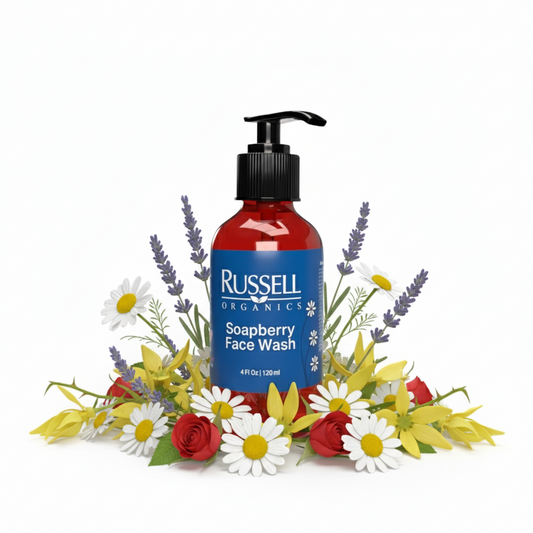 Soapberry Face Wash